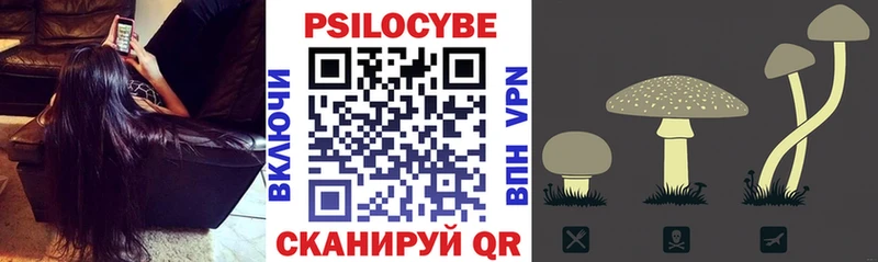 omg tor  Дорогобуж  Галлюциногенные грибы мицелий 
